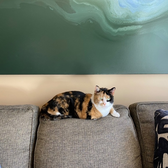 Meet your Posher, Kim - Picture 7 of 16